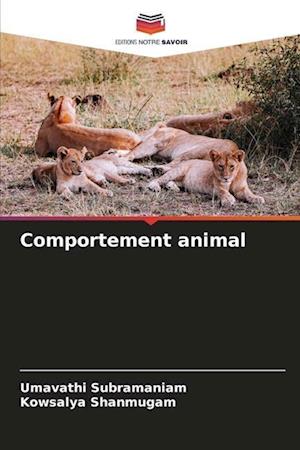 Comportement animal