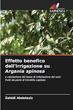 Effetto benefico dell'irrigazione su Argania spinosa