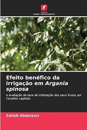 Efeito benéfico da irrigação em Argania spinosa