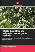 Efeito benéfico da irrigação em Argania spinosa