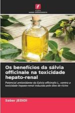 Os benefícios da sálvia officinale na toxicidade hepato-renal