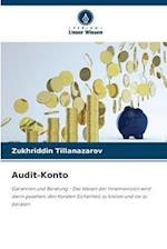 Audit-Konto