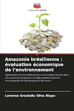 Amazonie brésilienne : évaluation économique de l'environnement