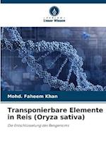 Transponierbare Elemente in Reis (Oryza sativa)