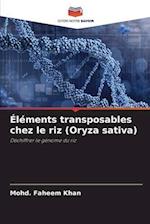 Éléments transposables chez le riz (Oryza sativa)