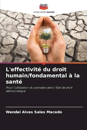 L'effectivité du droit humain/fondamental à la santé