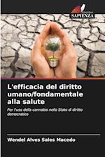 L'efficacia del diritto umano/fondamentale alla salute