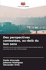 Des perspectives contestées, au-delà du bon sens