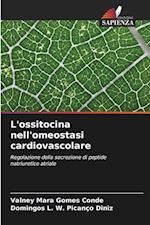 L'ossitocina nell'omeostasi cardiovascolare