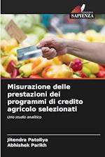 Misurazione delle prestazioni dei programmi di credito agricolo selezionati