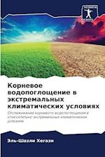 Kornewoe wodopogloschenie w äxtremal'nyh klimaticheskih uslowiqh