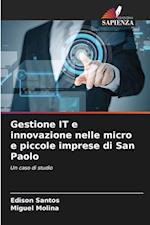 Gestione IT e innovazione nelle micro e piccole imprese di San Paolo