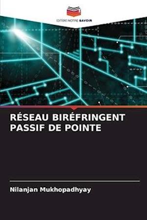 RÉSEAU BIRÉFRINGENT PASSIF DE POINTE