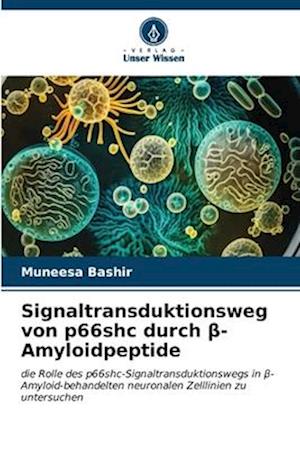 Signaltransduktionsweg von p66shc durch ¿-Amyloidpeptide