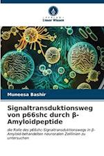 Signaltransduktionsweg von p66shc durch ¿-Amyloidpeptide