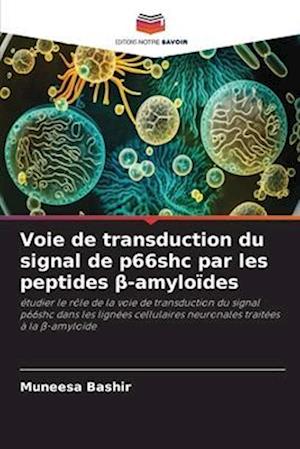 Voie de transduction du signal de p66shc par les peptides &#946;-amyloïdes