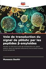 Voie de transduction du signal de p66shc par les peptides &#946;-amyloïdes