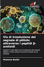 Via di trasduzione del segnale di p66shc attraverso i peptidi &#946;-amiloidi