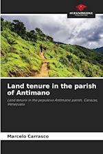 Land tenure in the parish of Antimano 