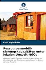 Ressourcenmobili- sierungskapazitäten unter lokalen Umwelt-NGOs