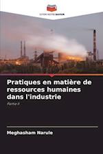 Pratiques en matière de ressources humaines dans l'industrie