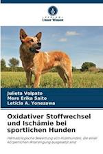 Oxidativer Stoffwechsel und Ischämie bei sportlichen Hunden