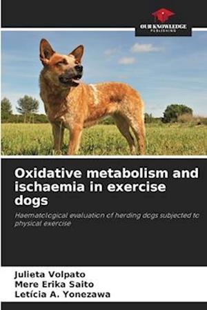 Oxidative metabolism and ischaemia in exercise dogs