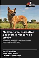 Metabolismo ossidativo e ischemia nei cani da sforzo