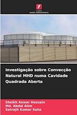 Investigação sobre Convecção Natural MHD numa Cavidade Quadrada Aberta