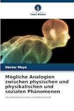 Mögliche Analogien zwischen physischen und physikalischen und sozialen Phänomenen