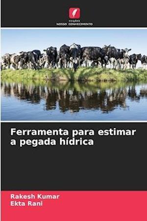 Ferramenta para estimar a pegada hídrica