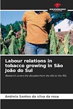 Labour relations in tobacco growing in São João do Sul 