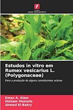 Estudos in vitro em Rumex vesicarius L. (Polygonaceae)