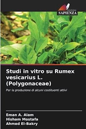 Studi in vitro su Rumex vesicarius L. (Polygonaceae)