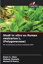 Studi in vitro su Rumex vesicarius L. (Polygonaceae)