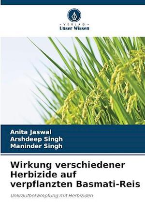 Wirkung verschiedener Herbizide auf verpflanzten Basmati-Reis