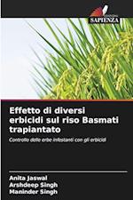 Effetto di diversi erbicidi sul riso Basmati trapiantato