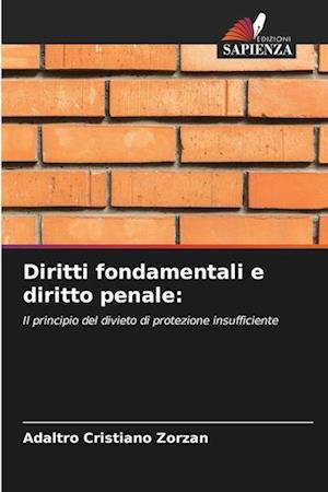 Diritti fondamentali e diritto penale: