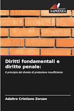 Diritti fondamentali e diritto penale: