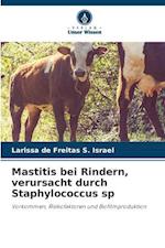 Mastitis bei Rindern, verursacht durch Staphylococcus sp