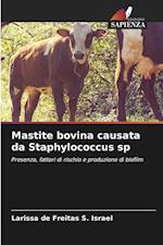 Mastite bovina causata da Staphylococcus sp