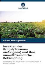 Insekten der Brinjal(Solanum melongena) und ihre umweltfreundliche Bekämpfung