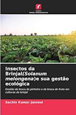 Insectos da Brinjal(Solanum melongena)e sua gestão ecológica