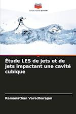 Étude LES de jets et de jets impactant une cavité cubique