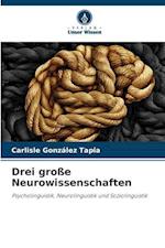 Drei große Neurowissenschaften