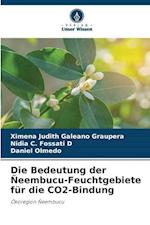 Die Bedeutung der Ñeembucu-Feuchtgebiete für die CO2-Bindung