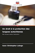 Un droit à la protection des langues autochtones