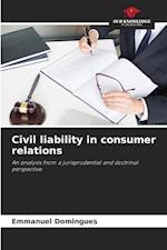 Civil liability in consumer relations