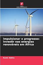 Impulsionar o progresso: Investir nas energias renováveis em África