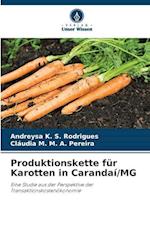 Produktionskette für Karotten in Carandaí/MG